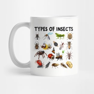 Types Of Insects Bug Identification Science Mug